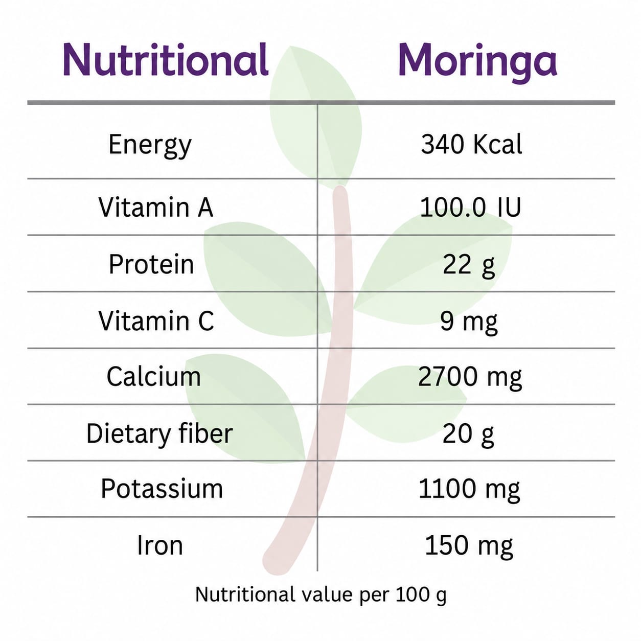 Organic Moringa Powder – Natural Superfood