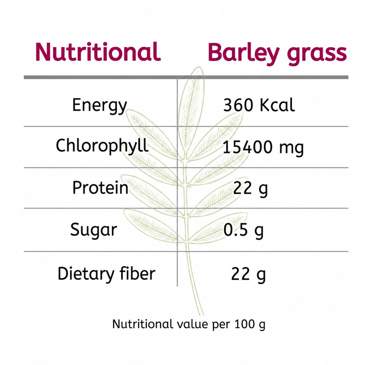 Barely Grass for Your Good Health  Benefit